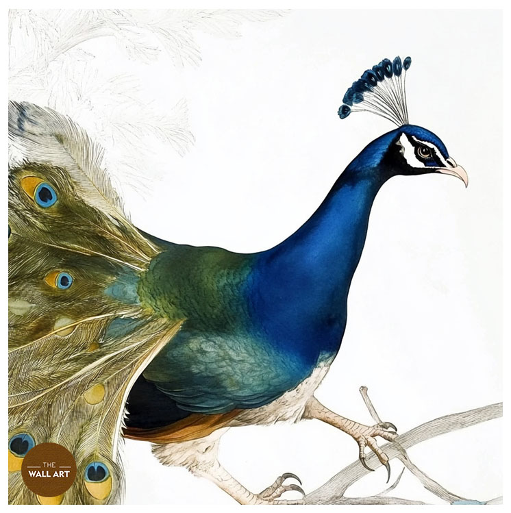 images/products/peacock_on_branch/peacock_on branch_WHITE_P.jpg